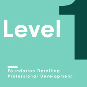 Level 1 – Professional Car Detailing