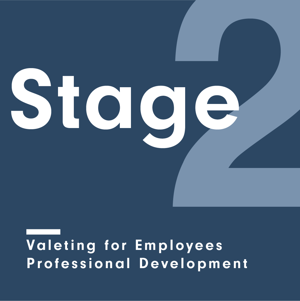 Valeting for Employees Stage 2 | Professional Development | UK Detailing Academy