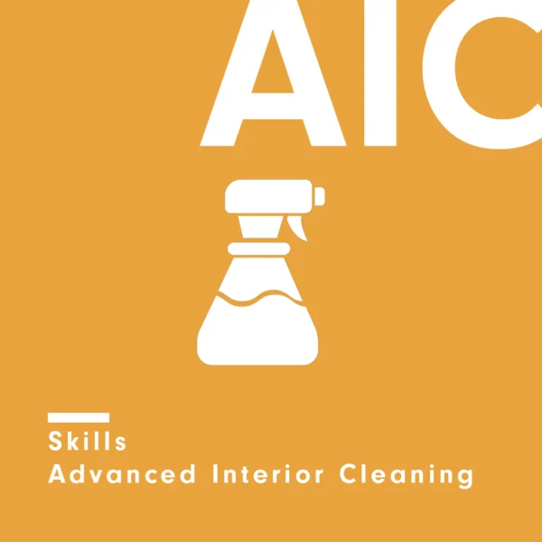 Advanced Interior Cleaning (1-to-1)